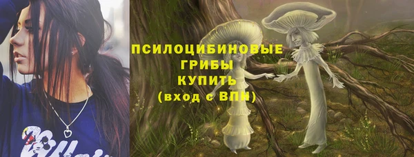 мяу мяу кристалл Гусев